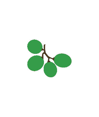 Fruit Grapes Sticker