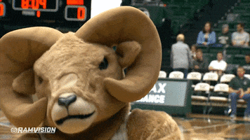 200.gif?cid=fc005b08642a3b28fe1390833932590a6160d8357b8152cb&rid=200.gif&ct=g
