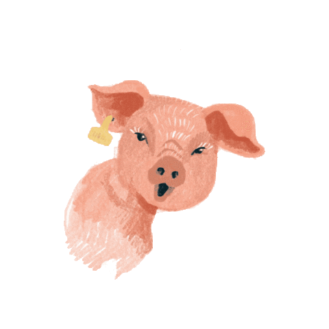 Aktion Agrar Sticker