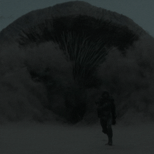 Film Running GIF by Dune Movie