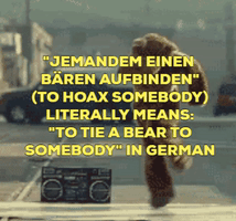 Baer GIF