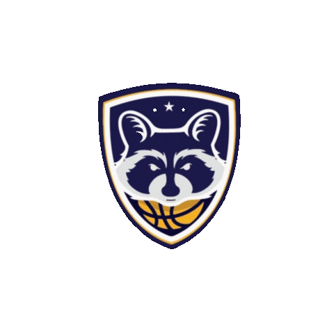 Sticker by Basquete Paraná - FPRB