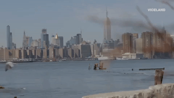 new york GIF by MY HOUSE