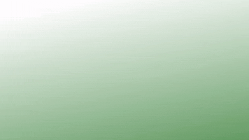 200.gif?cid=fc005b08feccd6a2791d158fa3fea418fad9f22cdc3a7aa4&rid=200.gif&ct=g