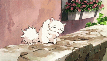 200.gif