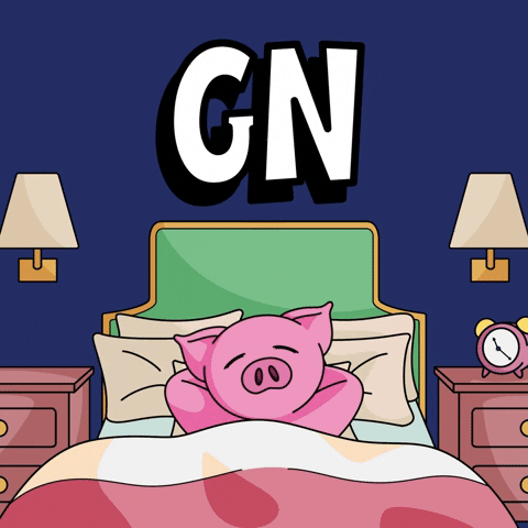 Night Night Sleeping GIF by Piggyverse