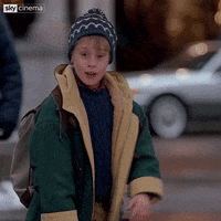 Home Alone Yes GIF by Sky