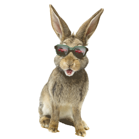 Volkswagen Österreich Sticker