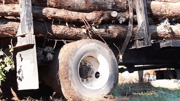 Logging Tree Truck GIF by JC Property Professionals