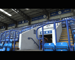 football stadium soccer GIF by Portsmouth Football Club