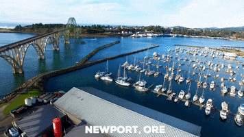inspire 1 west coast GIF by Rogue Ales & Spirits