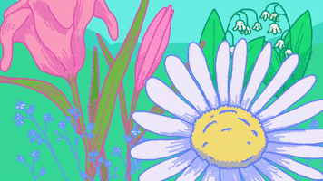Skincare Skinyoga GIF by Skinyoga