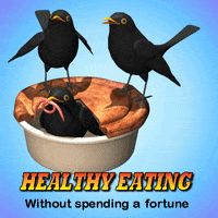 Dinner Eat Healthy GIF