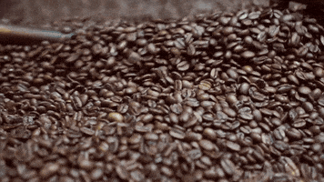 Coffee Beans GIFs Coffee Beans GIFs
