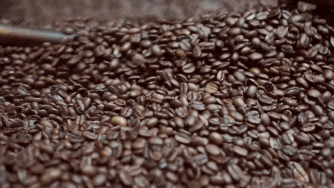 Coffee Beans GIF by Royal Cup Coffee & Tea - Find & Share on GIPHY