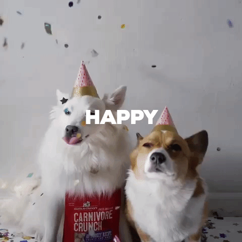 Happy New Year GIF