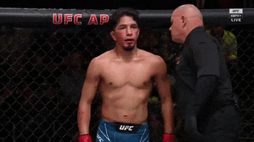 Fight Fighting GIF by ESPN
