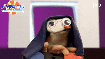 Socks Wikisocks GIF by Garbaim