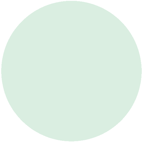 Barn Owl Sticker by Sky Siouki