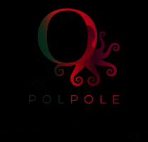 Pole dance academy Praha GIF