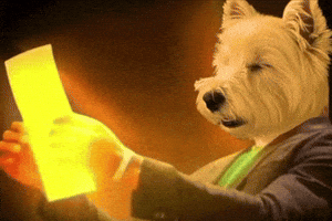 Jimmy Butler Gold GIF