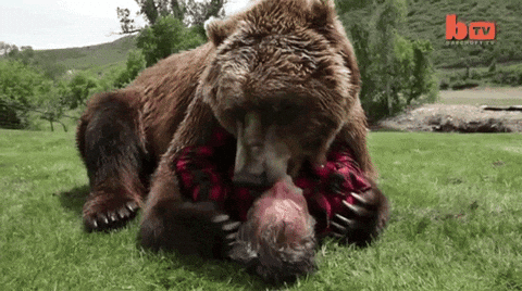 https://media3.giphy.com/media/69aF2EFrB9xiU/giphy.gif?cid=ecf05e4760e9a3b06bb086eeaa9cb19dbb17702eeaaccb07&rid=giphy.gif&cid=ecf05e4760e9a3b06bb086eeaa9cb19dbb17702eeaaccb07&rid=giphy.gif&cid=ecf05e4760e9a3b06bb086eeaa9cb19dbb17702eeaaccb07&rid=giphy.gif&cid=ecf05e4760e9a3b06bb086eeaa9cb19dbb17702eeaaccb07&rid=giphy.gif