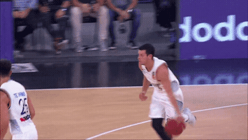 Basketball GIF by Brisbane Bullets