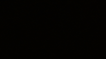 Transition Negro GIF