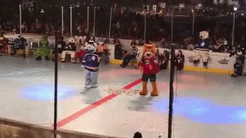 St Louis Blues Dancing GIF by Nordy Wild