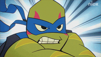 ninja turtles fighting GIF by Teenage Mutant Ninja Turtles