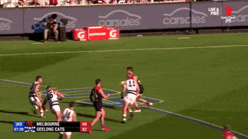 2018 Season Football GIF by AFL