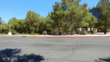 200.gif?cid=fc005b08e577ce36d13d00ec4feab93bb0224535bafb8fed&rid=200.gif&ct=g