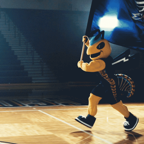 yellow jackets flag GIF by Cedarville University
