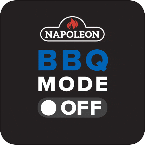 Bbq Grill GIF by Napoleon Premium BBQs Austria