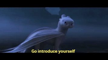 Night Fury Hiccup GIF