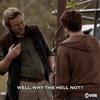 homeland GIF by Showtime