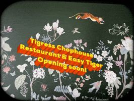 Perry Hotel Naples GIF