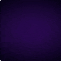 Virtue BJJ GIF
