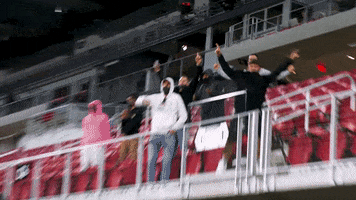 Celebrate Lets Go GIF by D.C. United