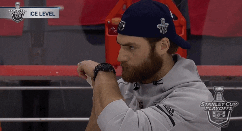 Image result for braden holtby gif