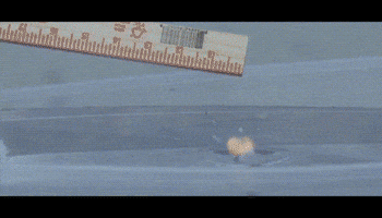200.gif?cid=fc005b08ec34d13a4fe44040dfe4fc249d60a884c856d3e1&rid=200.gif&ct=g