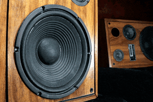 speaker frequency GIF