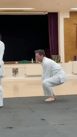 Judo Jumping GIF by The Freelance Lifestyle