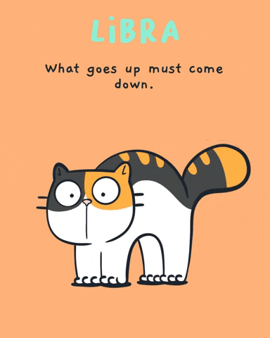 Up And Down Cats GIF by Mumosa & Ragout