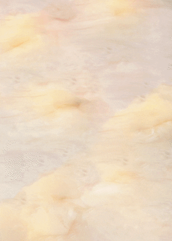 GIF by Visit Baltimore