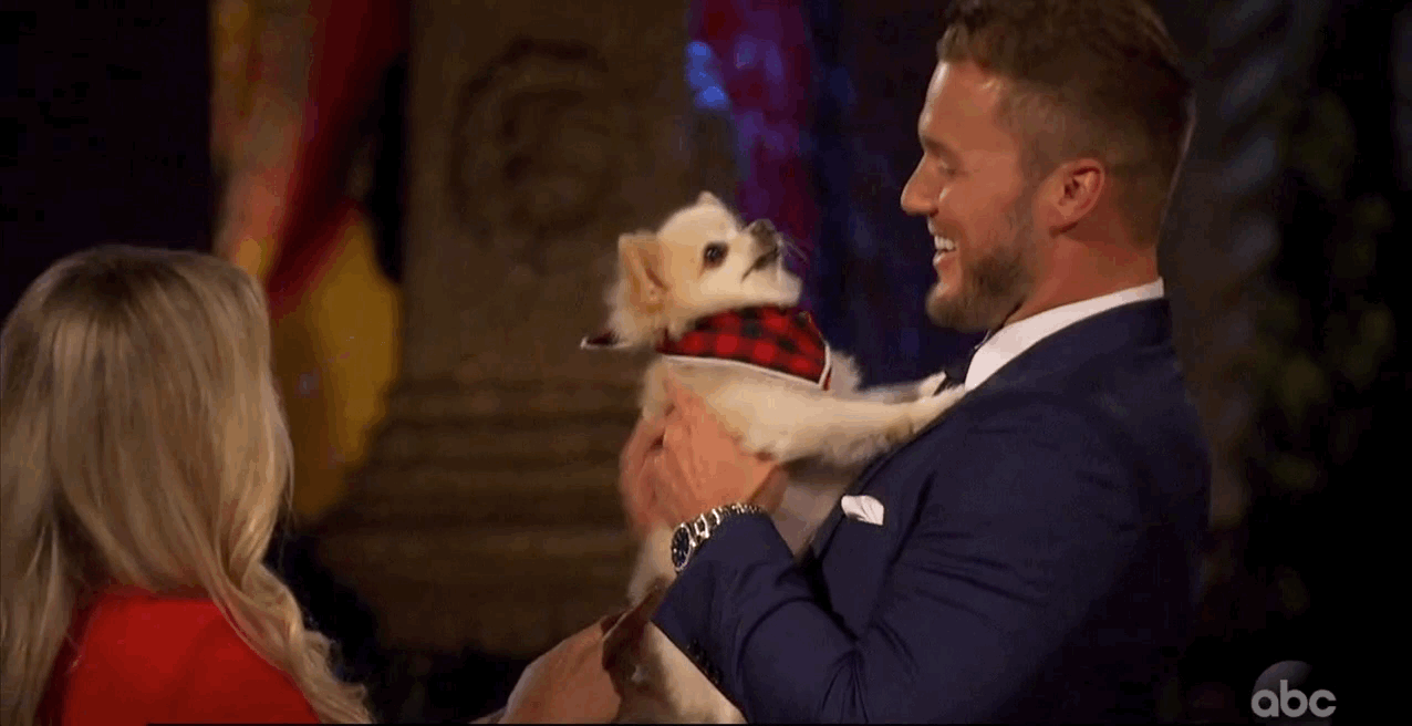 Colton Underwood GIF by The Bachelor