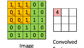 neural networks