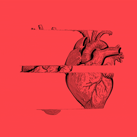 Heart Corazon GIF by FIBRA BRANDING
