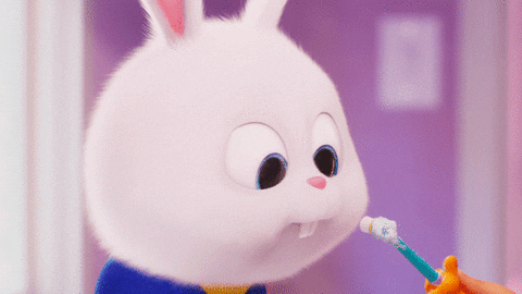 Snowball Bunny GIFs - Get the best GIF on GIPHY