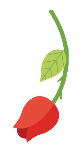 Rose Sticker